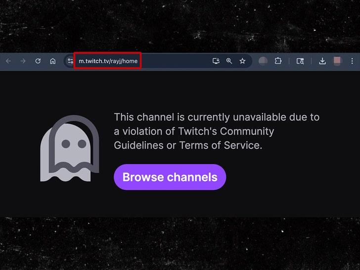 ray j twitch banido sg