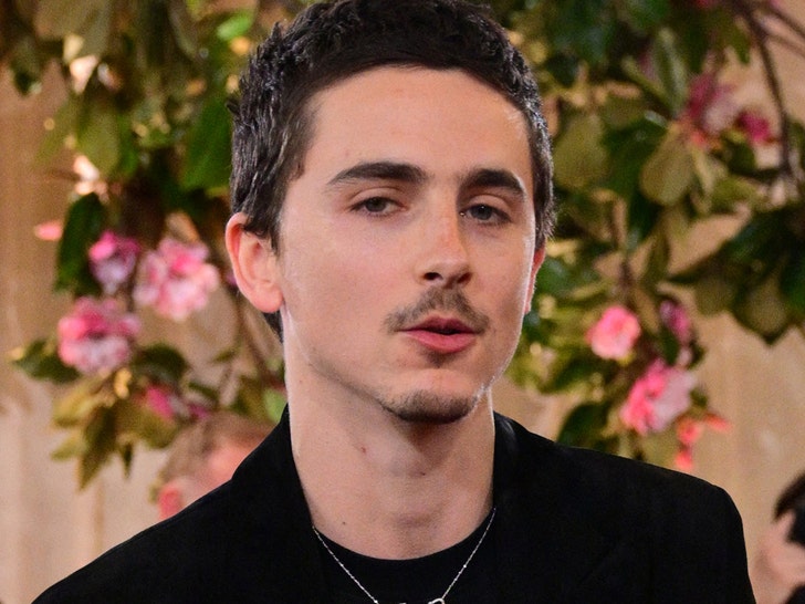 timothee chalamet getty