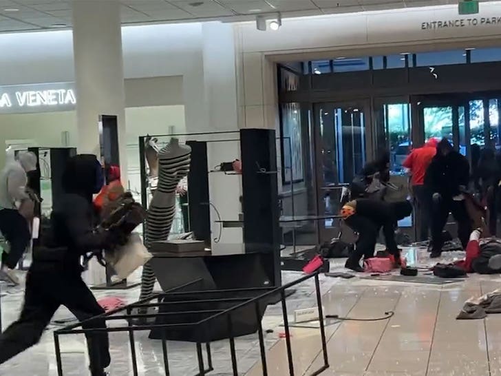 Mob of up to 50 Shoplifters Hits Nordstrom - The San Fernando