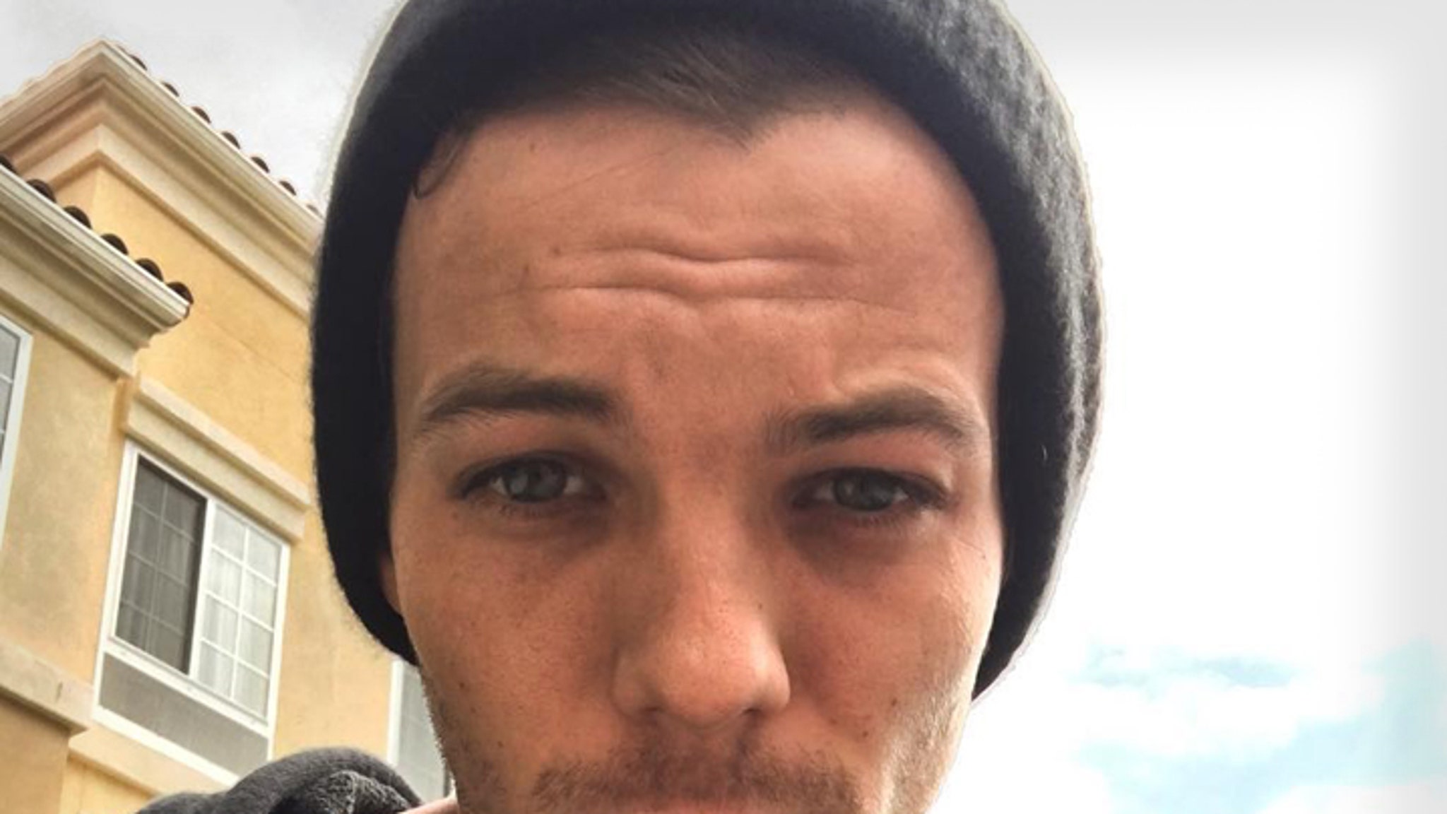 Louis Tomlinson&#39;s Immigration Status Protected in Wake of Battery Arrest
