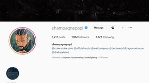 Drake Surprised 'Honestly, Nevermind' Painter With Instagram Profile Nod