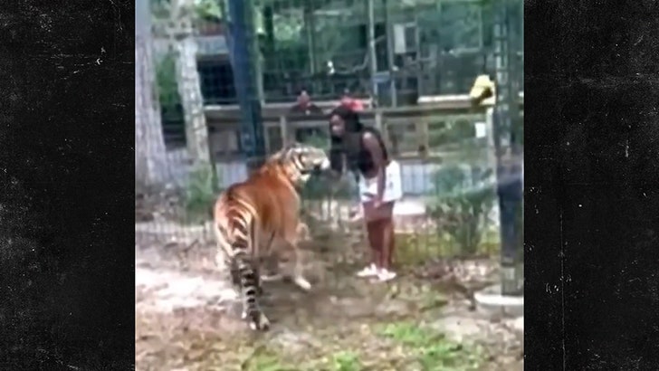 Woman Charged With Climbing Over Zoo Fence To Pet Tiger In Viral Video