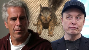 elon-musk-jeffrey-epstein-p'nut-the-squirrel-getty-ig-1