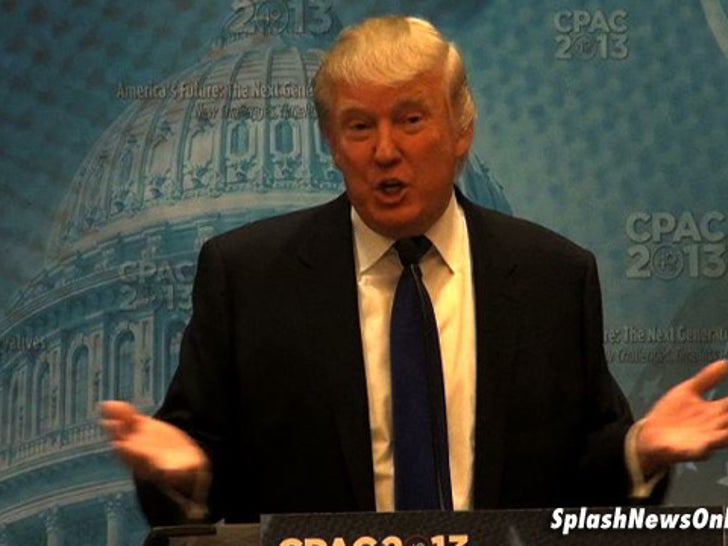 032013_donald_trump_splash