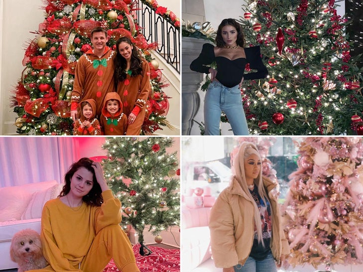 Celebrity Christmas Trees 2020