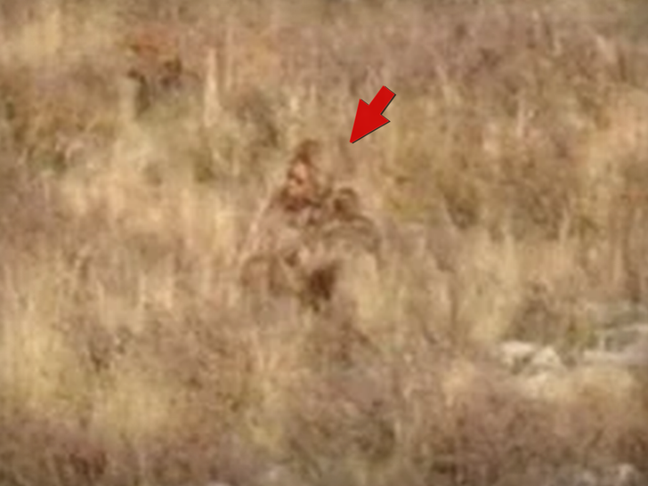 Bigfoot Sighting in Colorado Shows Clear Video of 'Sasquatch' Walking