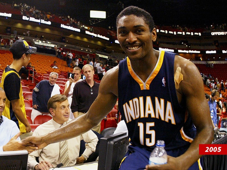 ron artest pacers sub