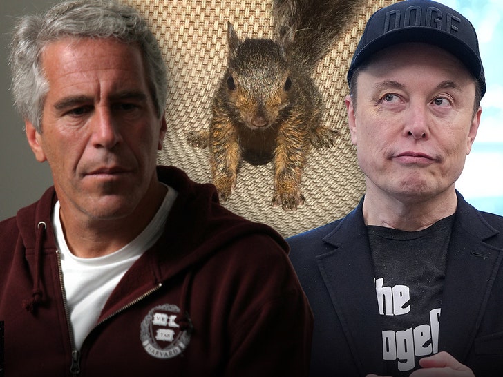 elon-musk-jeffrey-epstein-p'nut-the-squirrel-getty-ig-1