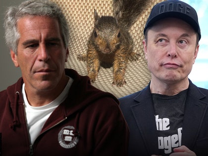 elon-musk-jeffrey-epstein-p'nut-the-squirrel-getty-ig-1