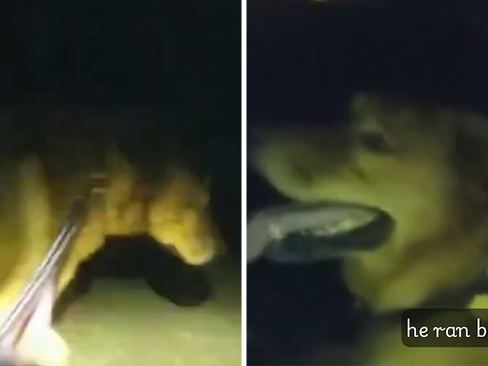 76752a1753db4654b23e2e4b5097af