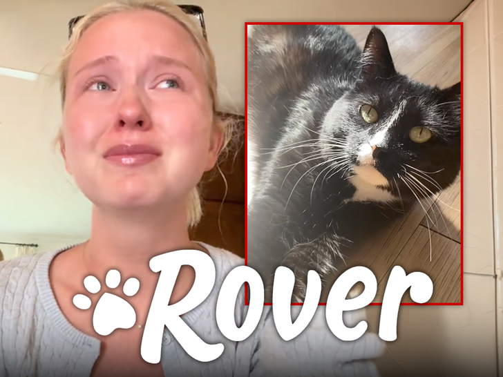 main anna cave cat rover insta tiktok 2