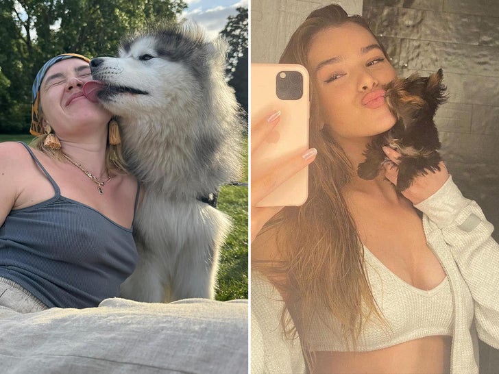 Sloppy Dog Kisses -- Pooch Smooch!