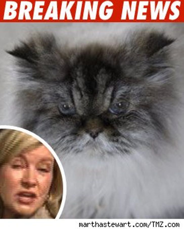 Another One of Martha Stewart's Pets -- Not Living :: 0611_martha_stewart_cat_bn-1