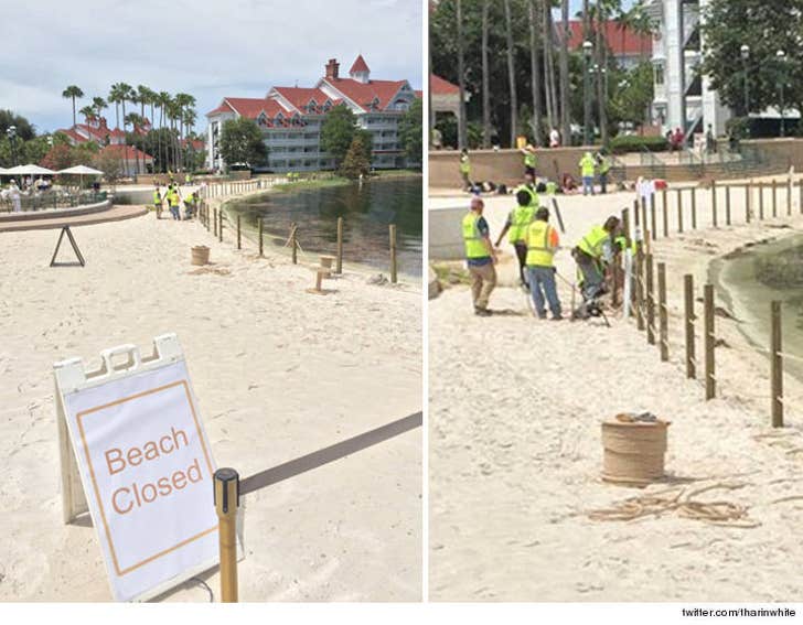 Disney Resort -- Building Fences After Alligator Attack PHOTOS :: 0617-florida-orlando-gator-beach-area-grand-floridian-new-fence-twitter-6