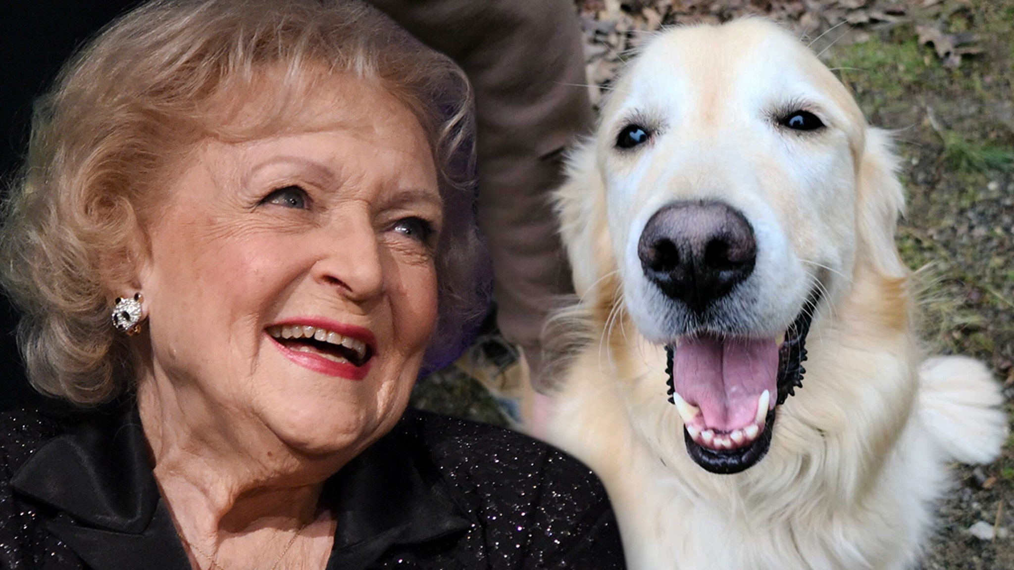 Betty White Birthday Challenge Raises Thousands, Dog Gets Life Saving Surgery