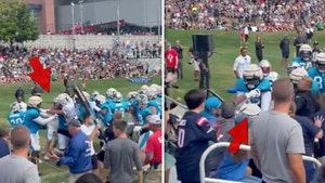 Panthers, Patriots Brawl At Joint Practice, Fan Injured In Melee