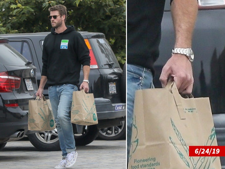 0812 liam hemsworth no ring zoom backgrid