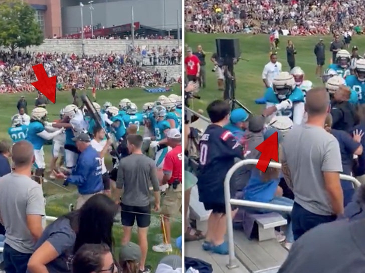 Panthers, Patriots Brawl At Joint Practice, Fan Injured In Melee.jpg