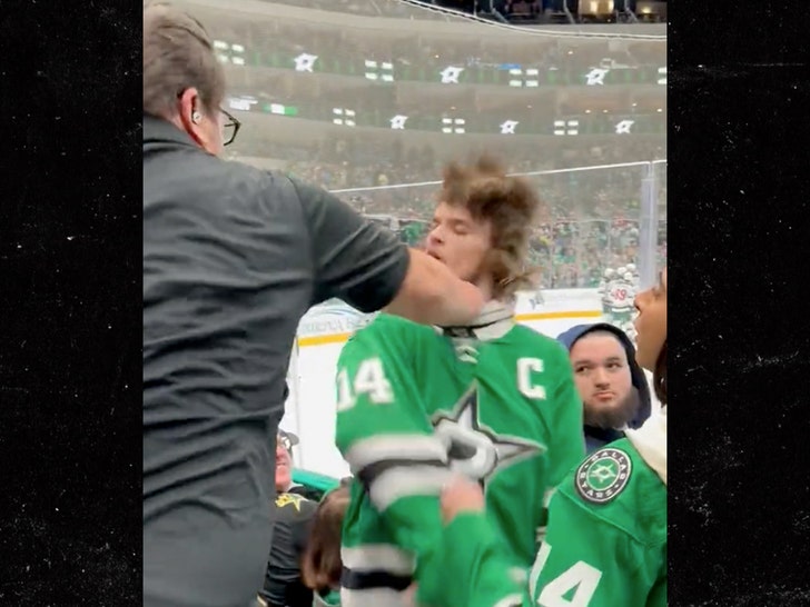 Stars game fan punched
