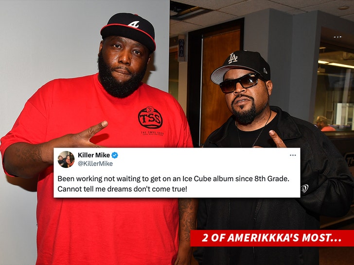 killer mike and ice cube getty 1