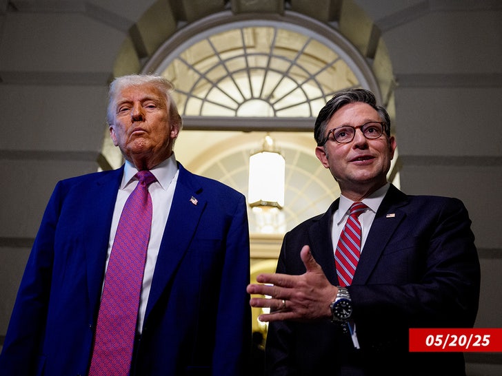 mike johnson donald trump sub getty swipe 2