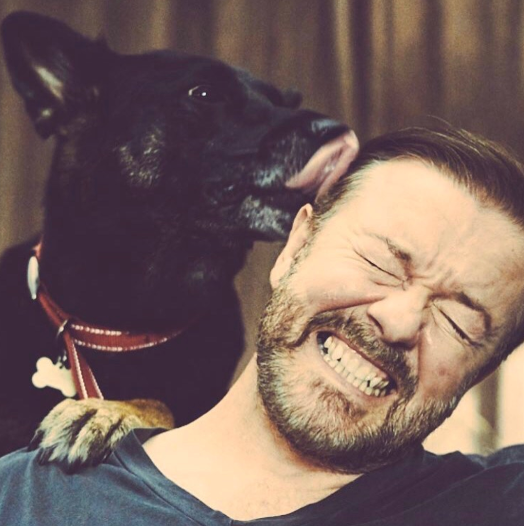 Ricky Gervais