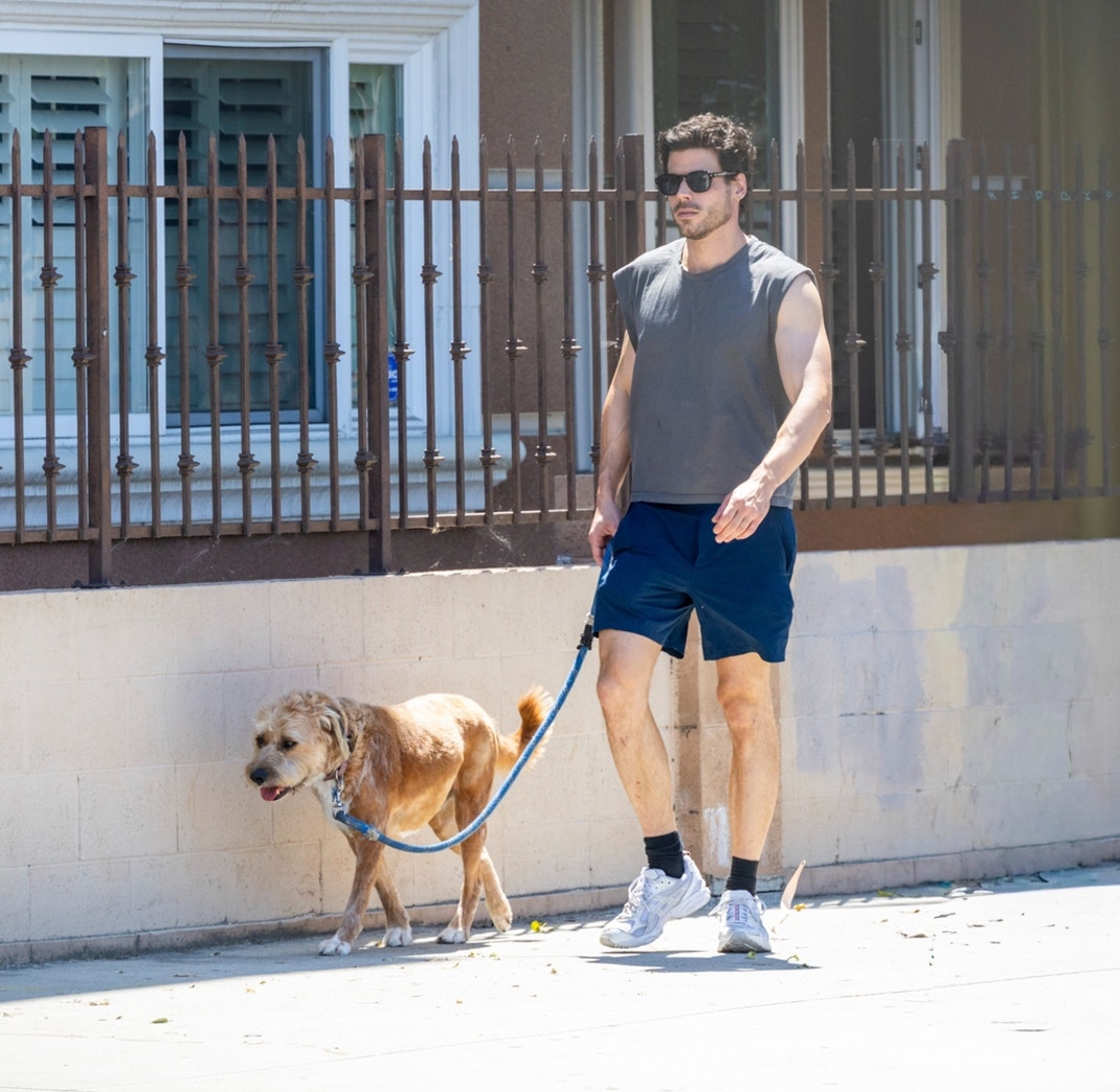 FranCois Arnaud Dog Walk 0