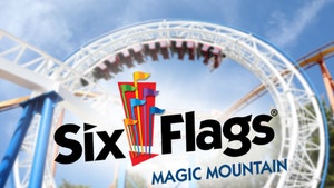 Six Flags Caught in the Middle of Raging Wildfire in SoCal