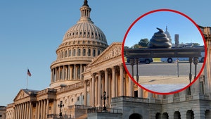 Bronze Turd Monument Pops Up on Capitol Hill