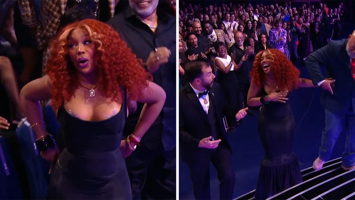 SZA Struggles to Make It Up to AMA Stage in Skin-Tight Dress SZA Struggles to Make It Up to AMA Stage in Skin-Tight Dress