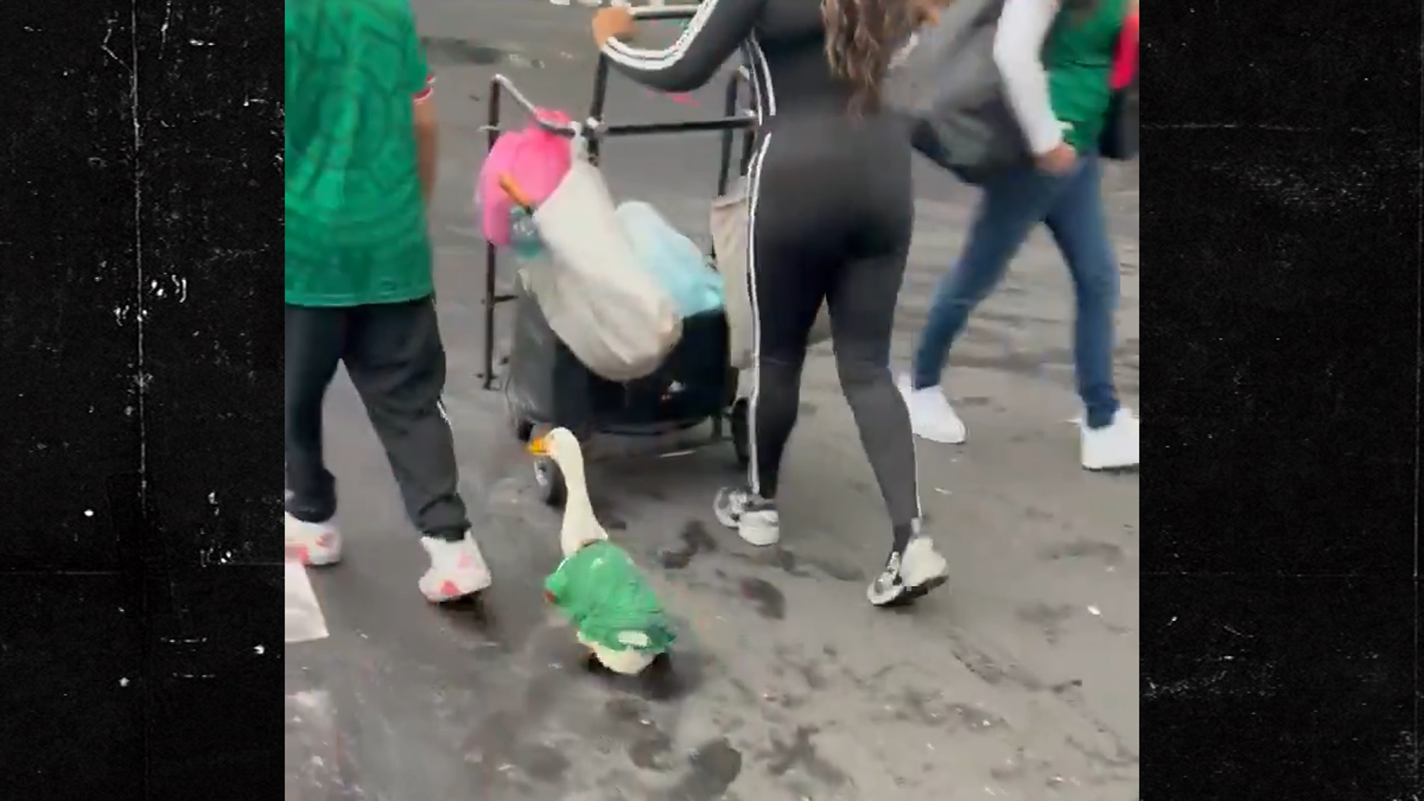 Mexico Fans Dress Duck For World Cup, Wild Scenes From Day 1