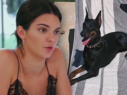 0806-kendall-jenner-and-dog-e-insta-02