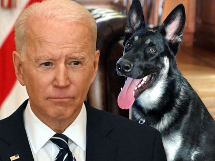 0330-joe-biden-major-biden-getty-composite-01