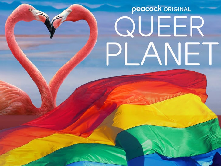 queer planet main flag