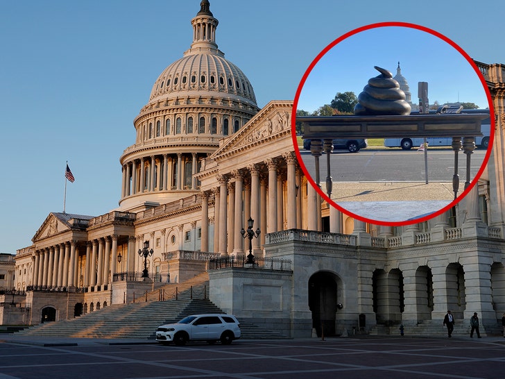 Bronze Turd Monument Appears on Capitol Hill