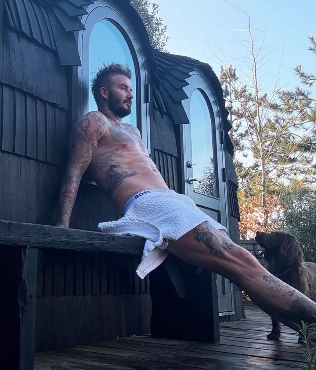 David Beckham Hot Shots 8