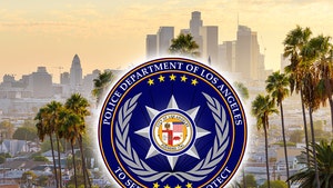 Los Angeles Gangs Behind Robberies Targeting Rich and Famous, LAPD Says