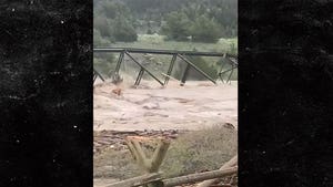 Yellowstone National Park Hit With Heavy Flooding, Bridge Taken Down