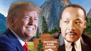 donald trump mlk jr national park main getty