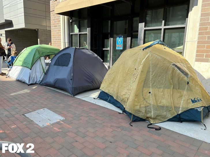 michigan-fans-fox-2-1