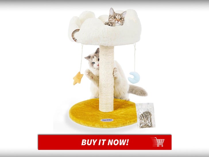 Cloud-Scratching-Post-International-Cat-Day-MAIN