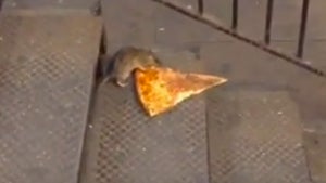 Pizza Time -- Rat Drags Slice Into New York Subway (VIDEO)