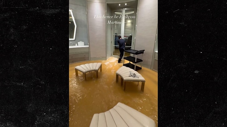 Drake’s Toronto Mansion Floods; Video Shows Damage