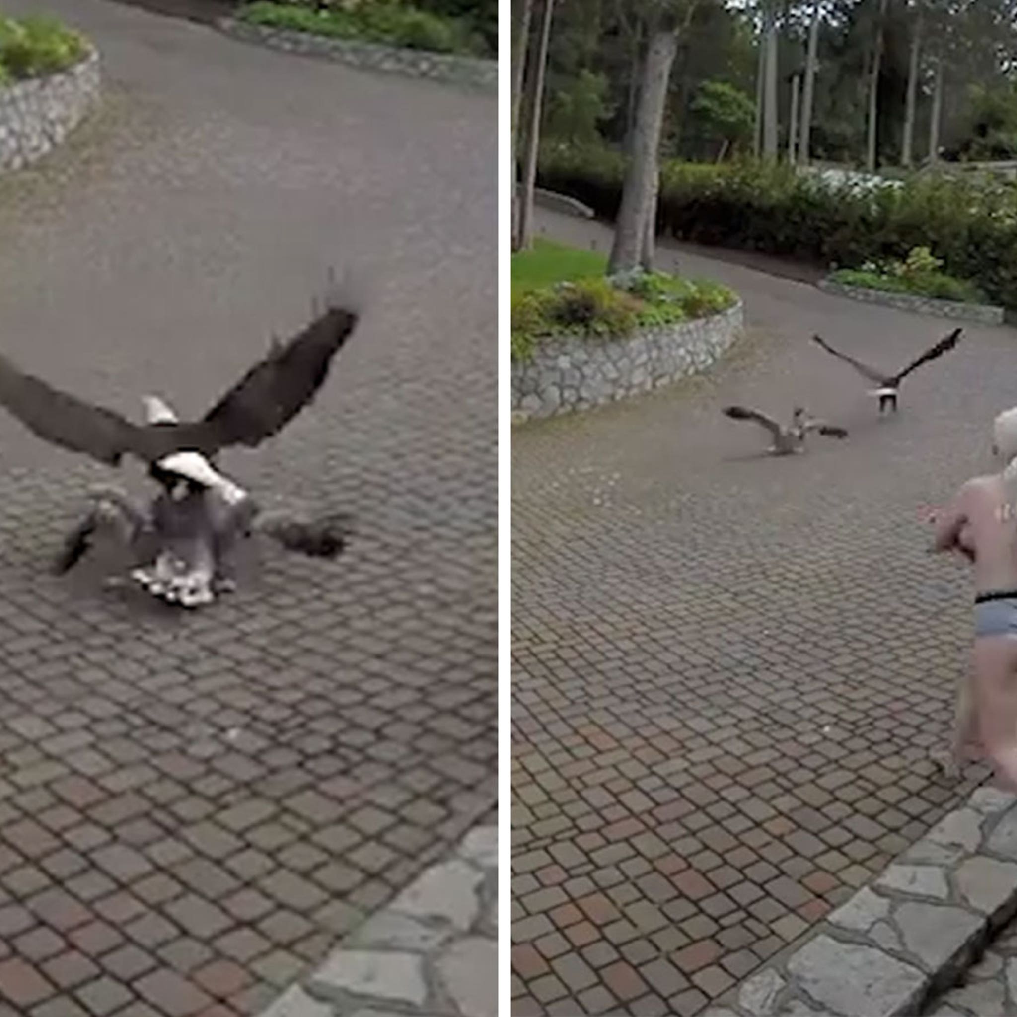 Descubrir 51+ imagen cait oakley breastfeeding Thptnganamst.edu.vn