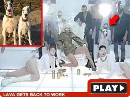 Lady Gaga: Click to watch