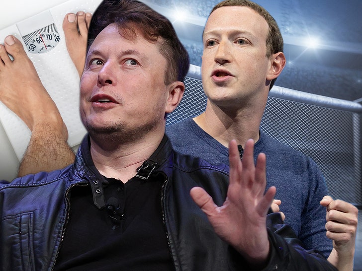 Three Reasons Why Mark Zuckerberg Would Beat Elon Musk in a Fight