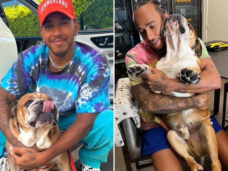 Lewis Hamilton ve köpeği Roscoe