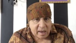 040920-steve-van-zandt-primary