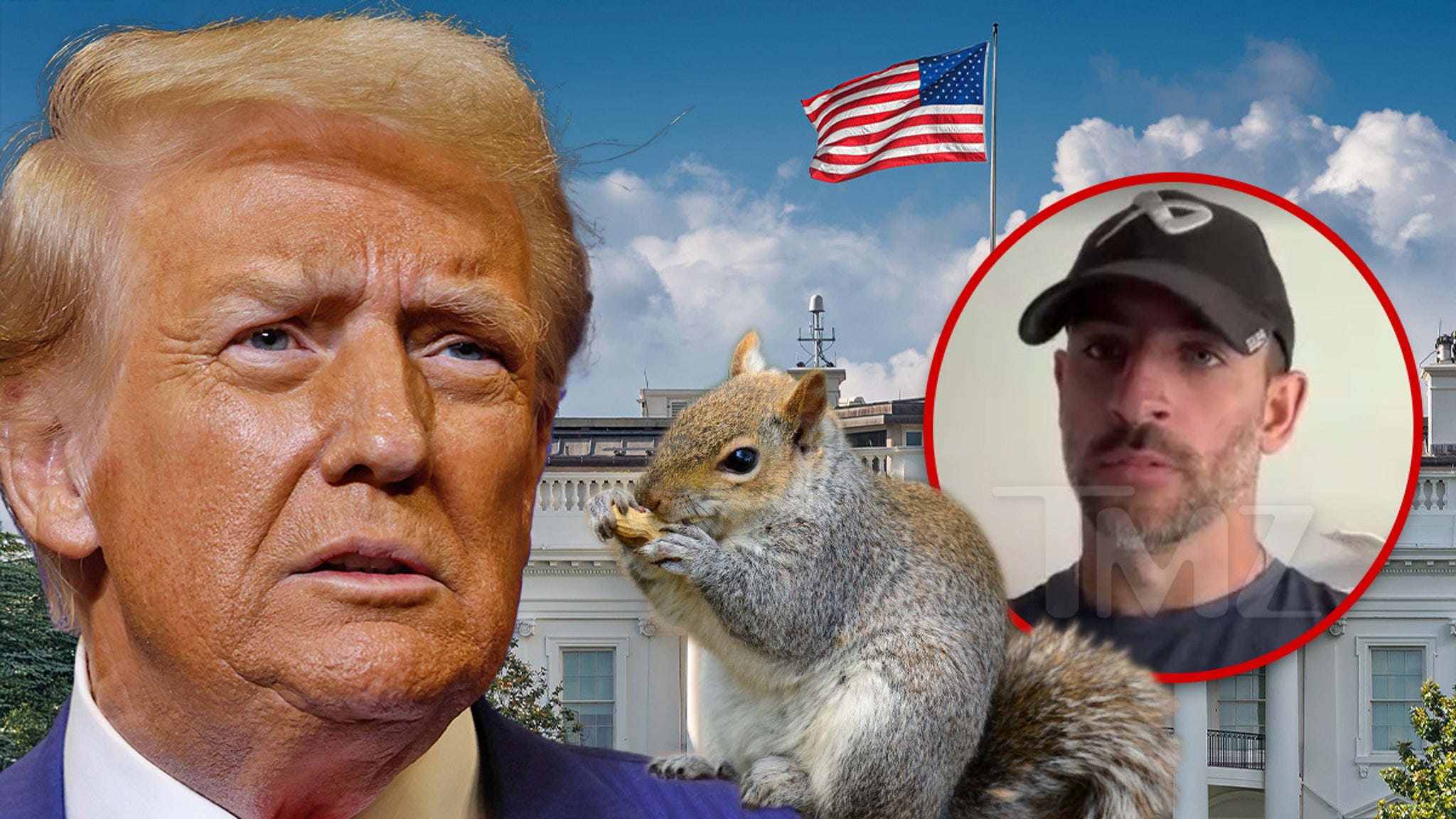 Peanut the Squirrel Controversy Likely Contributed to Trump Win, Owner Believes