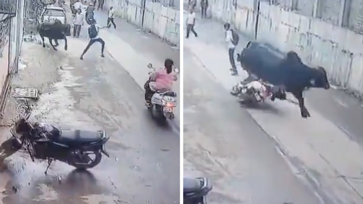 062626 bull scooter crash kal 2